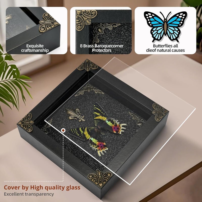 GDBEH Real Butterfly Framed Handmade - Taxidermy Butterfly Shadow Box - Real Framed Butterflies in a Box for Gothic Home Decor Aesthetic. (Madagascan Sunset Moth) - Image 3